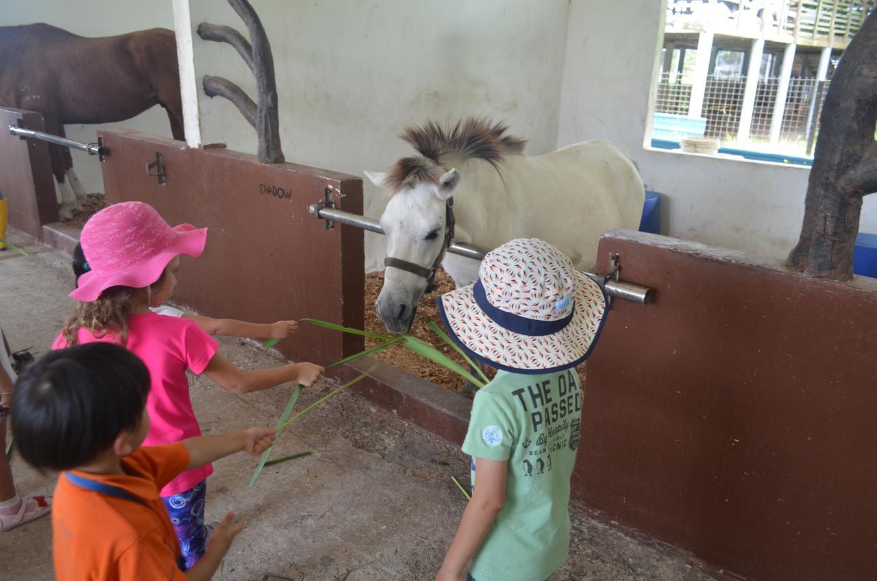 Sinar Eco Resort Kampong Bukit Panjang Eksteriør billede