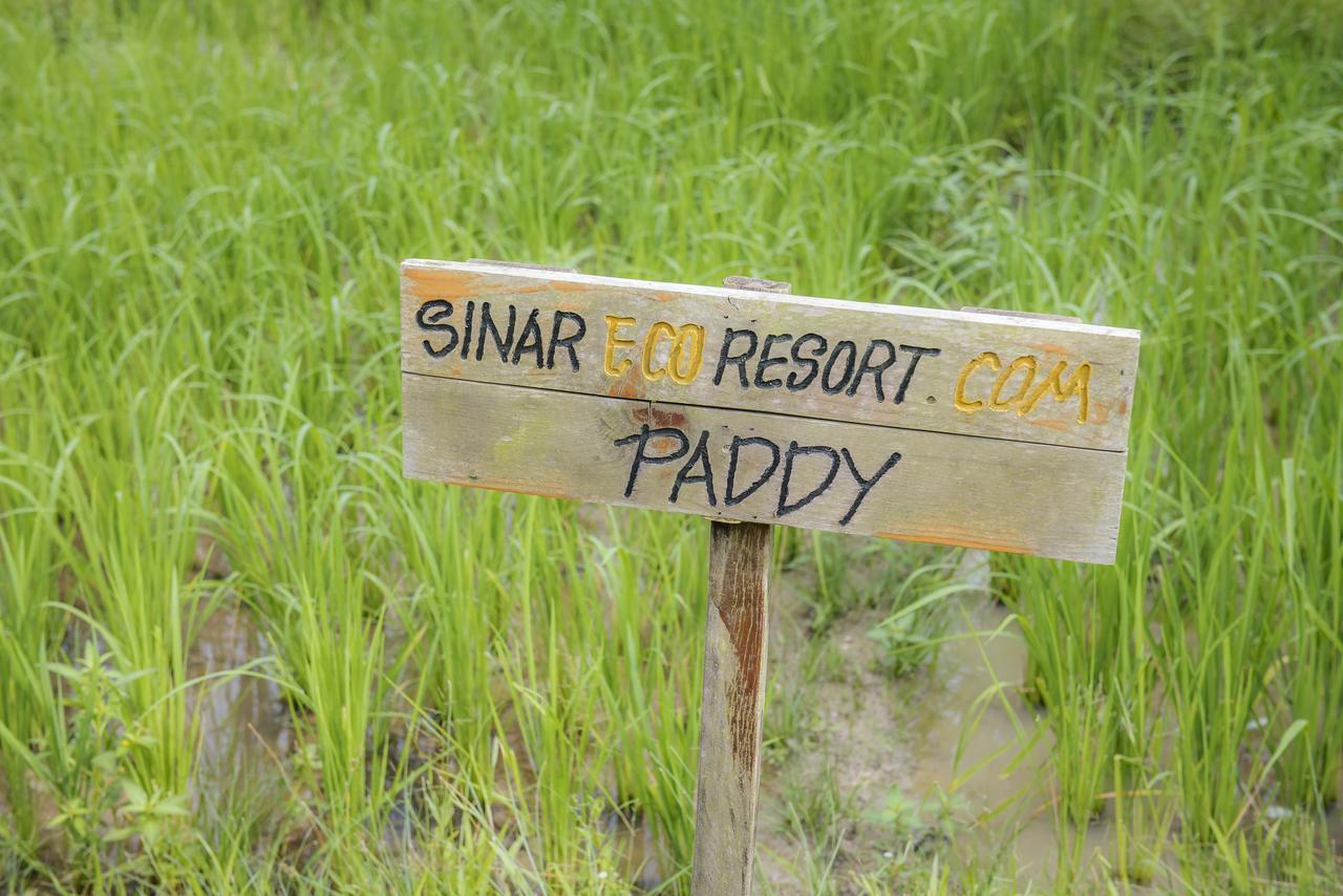 Sinar Eco Resort Kampong Bukit Panjang Eksteriør billede