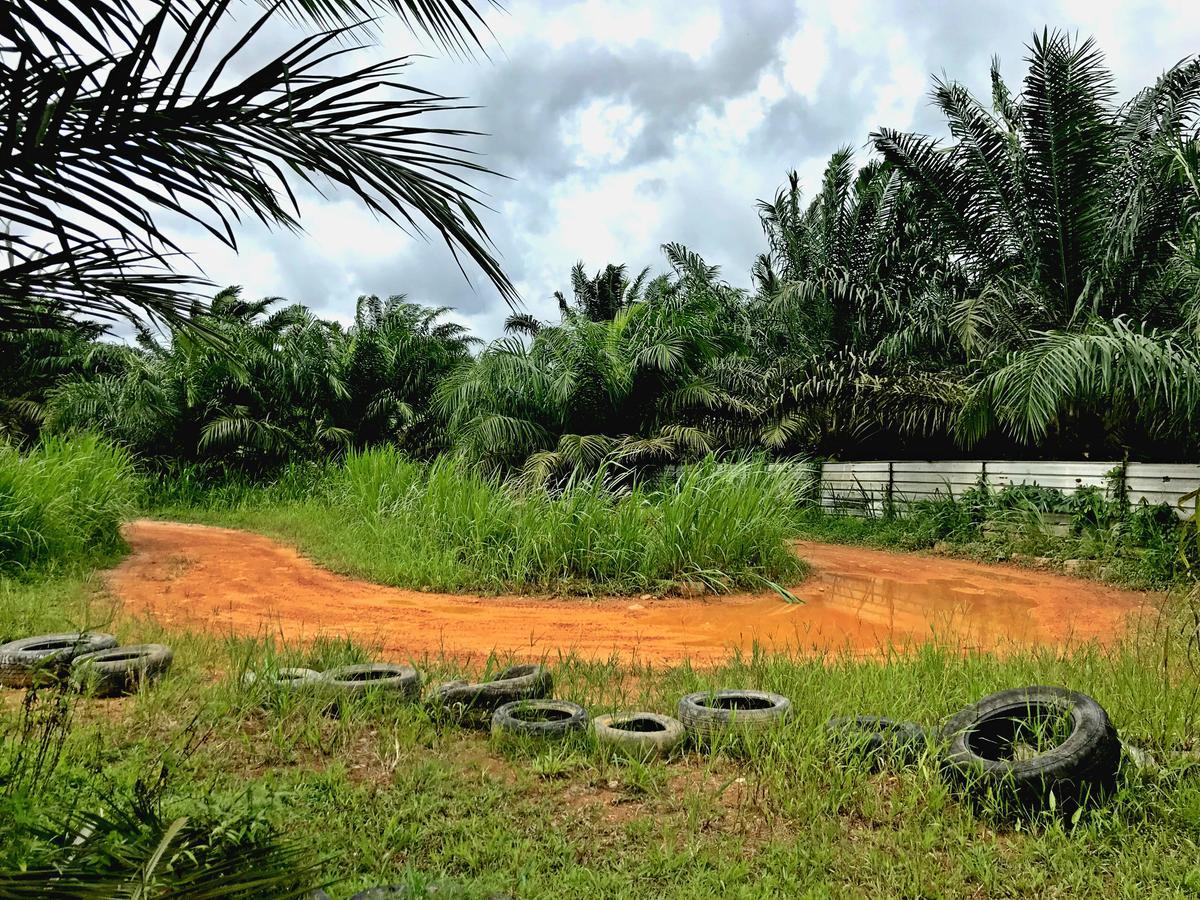 Sinar Eco Resort Kampong Bukit Panjang Eksteriør billede